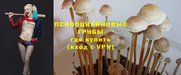 амфетамин Алексеевка